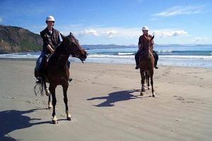 Hare Hill - 3 Hour Beach Ride