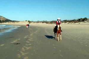 Hare Hill - Full Day Horse Trek