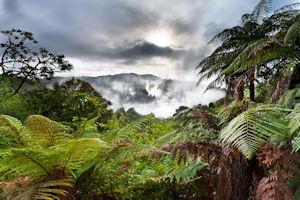Waimangu Volcanic Valley Self Guided Tours