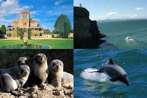 Castle and Wildlife Cruise - Half Day