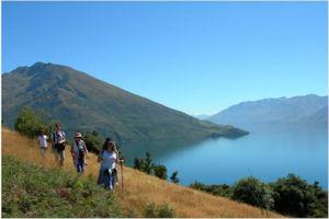 Eco Wanaka Adventures - Lake Cruises