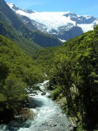 Eco Wanaka Adventures - Guided Walks