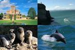 Castle and Wildlife Cruise - Half Day