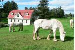 The Carriage House - Bay of Islands